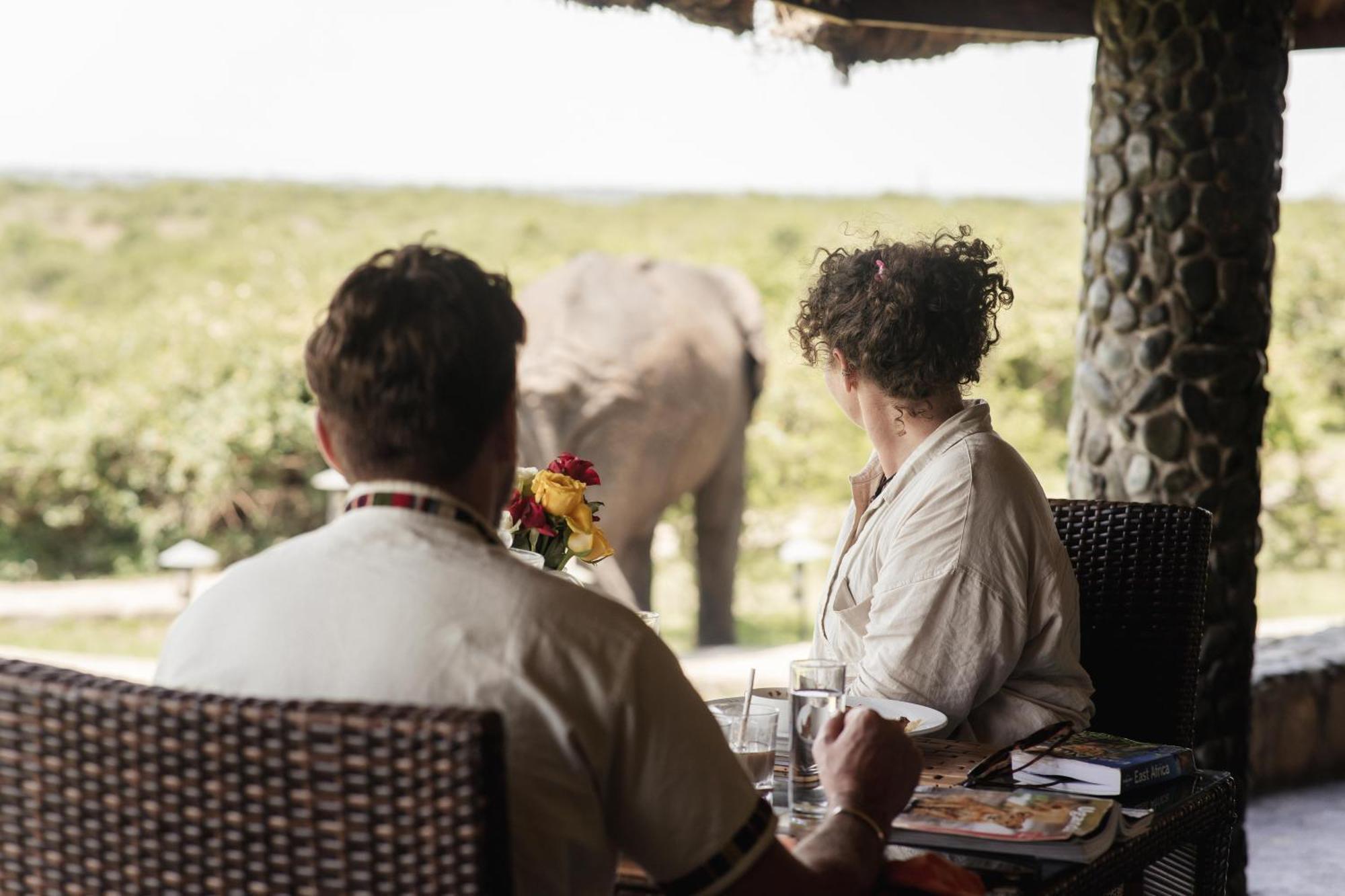 Buffalo Safari Lodge Katunguru المظهر الخارجي الصورة